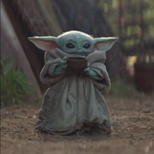 Meet your Posher, Quinn